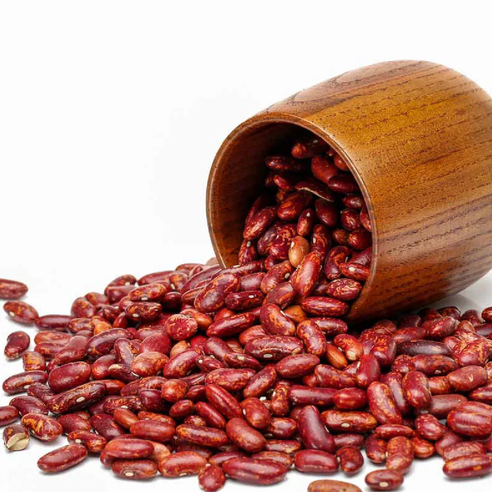Kidney Beans (Rajma)