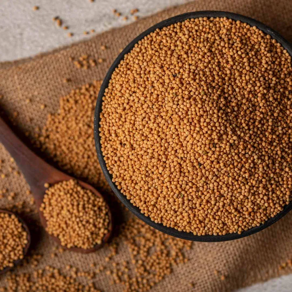 Mustard Seeds (Sarson / Rai)
