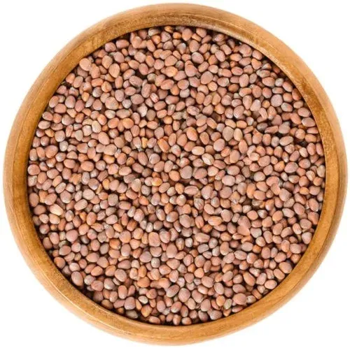 Brown Lentils